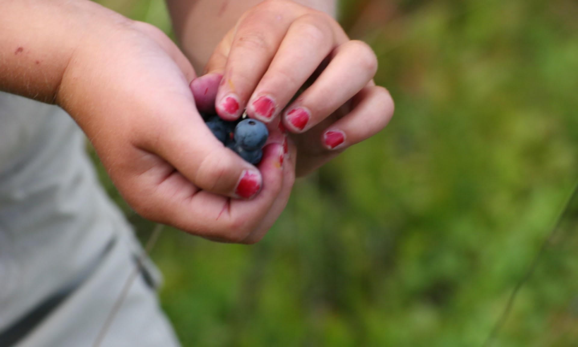 Girl holding blueberries with care